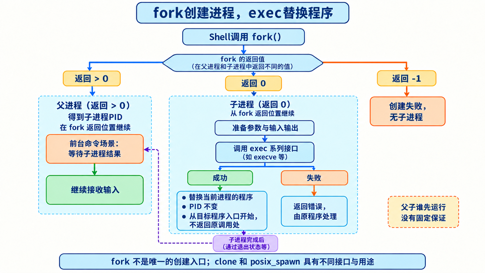 fork创建进程，exec替换程序