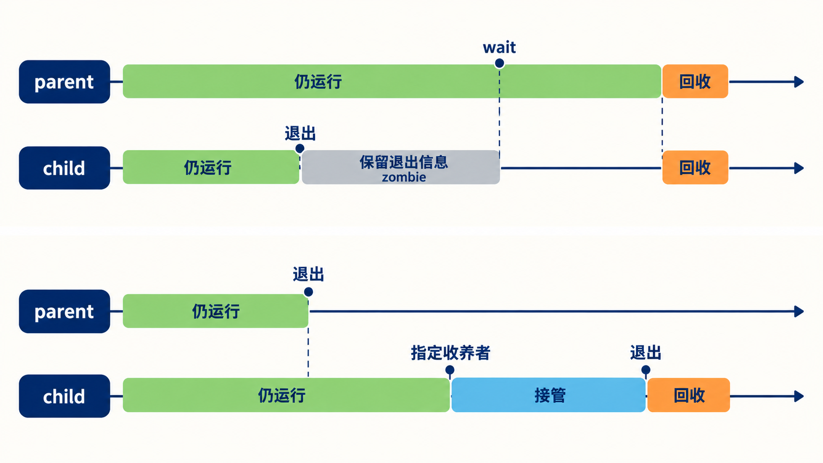 子先退出未回收与父先退出被收养的不同顺序